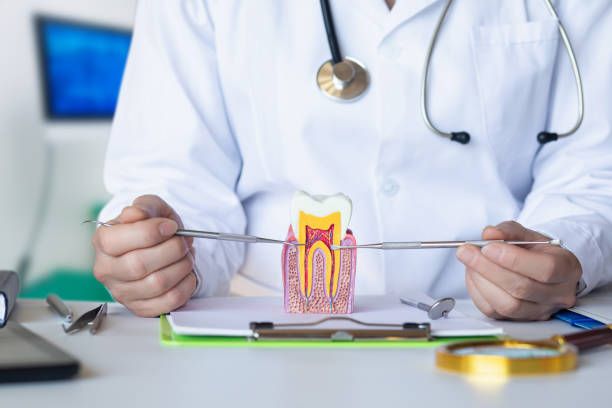 Best Emergency Broken Tooth Repair in Warsaw, NC
